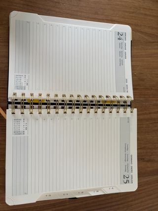 Agenda 2026 Vista día