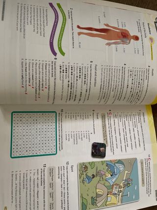 ESO 4 - OPTIONS 4 Burlington