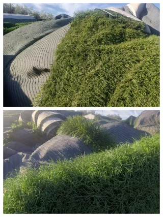 Venta césped artificial