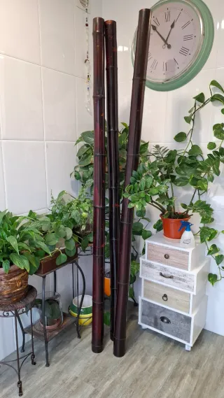 Cañas de bambú decorativas 2 metros x 8 grosor