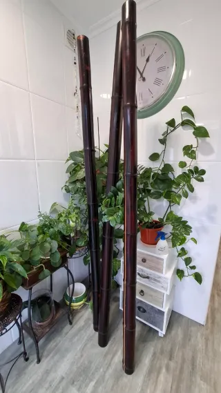 Cañas de bambú decorativas 2 metros x 8 grosor