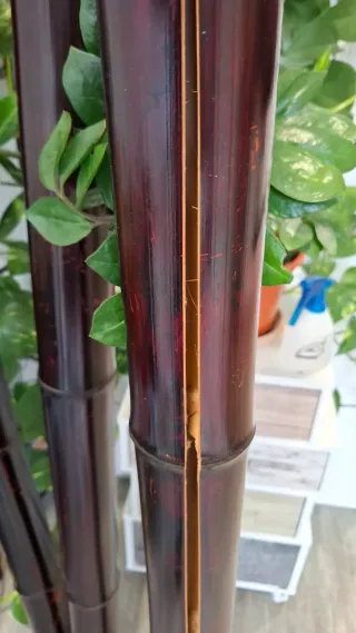 Cañas de bambú decorativas 2 metros x 8 grosor