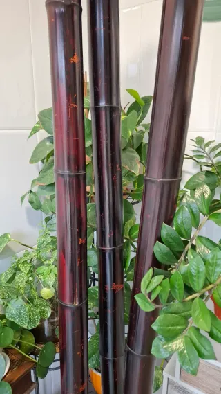 Cañas de bambú decorativas 2 metros x 8 grosor