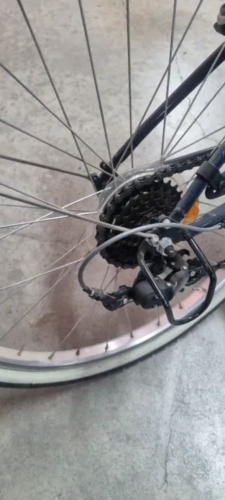 Bicicleta infantil azul y rosa