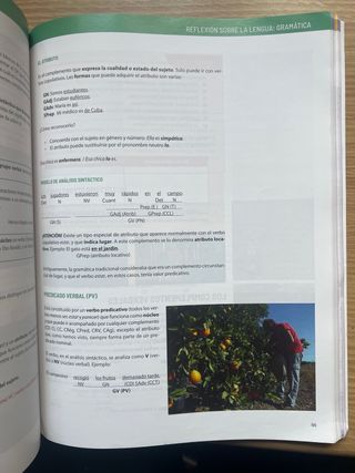 libro lengua castellana y literatura 2 ESO