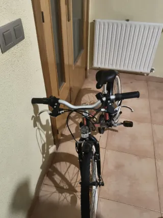 Bicicleta Riverside 20" + casco rosa – Casi nueva