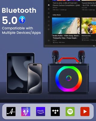 Karaoke Profesional Inalámbricos, ALPOWL Sistema d