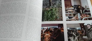 CASA SOLLA, PEPE SOLLA