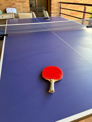 Mesa Ping Pong Pongori reglamentaria