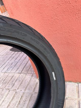 Neumático Dunlop Mutant M/S