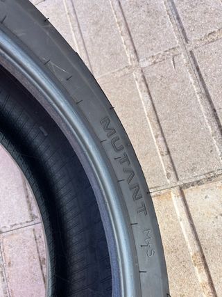Neumático Dunlop Mutant M/S