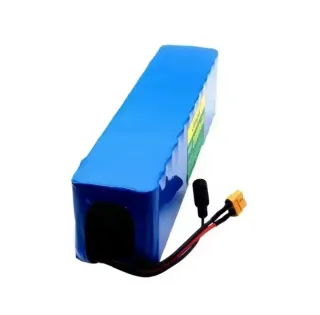 Batteria 48V 20Ah Jungla + Caricatore