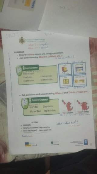 Clases en casa particulares y refuerzo, Profesor