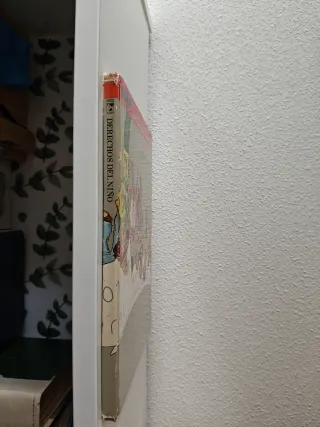 El libro de los derechos del niño