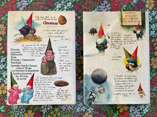 Los Gnomos y La llamada de los gnomos