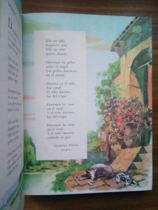 Mi libro encantado: desde la cuna (Tomo I)