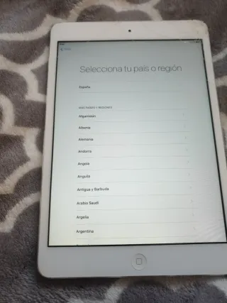 iPad mini para piezas