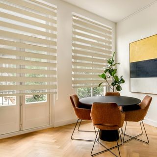 Blindecor Lira estor enrollable noche y día, color