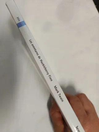 Les aventures de Huckleberry Finn