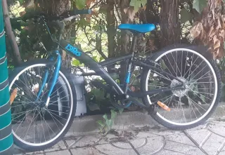 Bicicleta infantil 2019