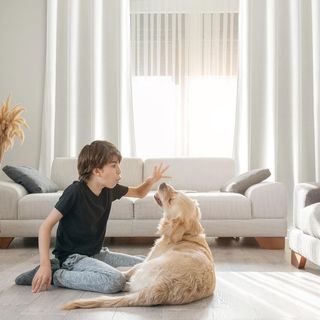 MIULEE Cortinas Terciopelo Blanco Salon Modernas 2