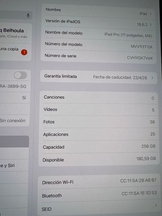 iPad Pro M4 como nuevo