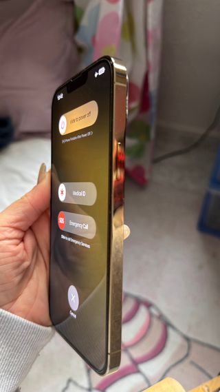 iPhone 13 Pro Max Dorado