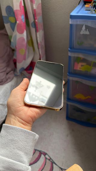 iPhone 13 Pro Max Dorado