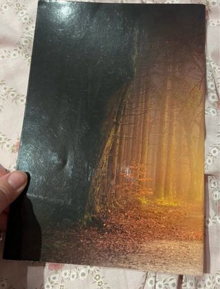 una visita a las tierras imposibles