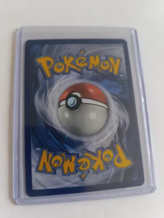 Carta Pokémon Mega-Kangaskhan EX 104/132