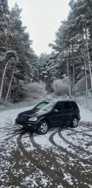Mercedes ML  W163  2005