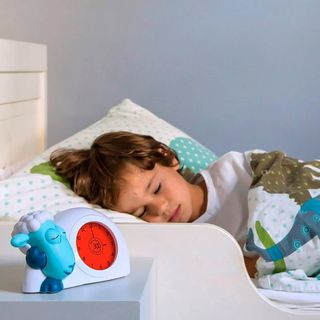 Dormir Trainer Sam azul