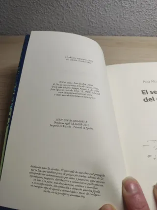 El secreto del espejo (Spanish Edition)