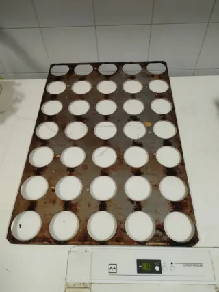 Bandejas para magdalenas