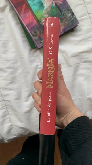 La silla de plata: Las Crónicas de Narnia 6
