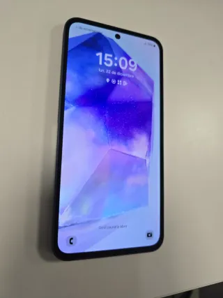 Samsung Galaxy A55 5G SM-A556B/DS