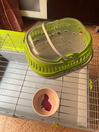 Jaula Conejo o Cobayas 80x50 cm