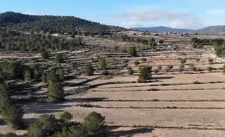 Dos terrenos para construir en Monovar, Alicante
