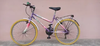 Bici MTB 24 Regal