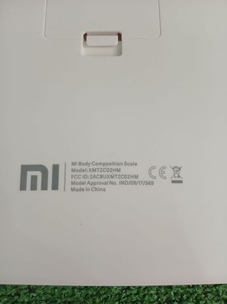 Báscula Xiaomi Mi Smart Scale