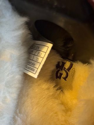 UGG Tasman II Suede Mule Bege/Castanho