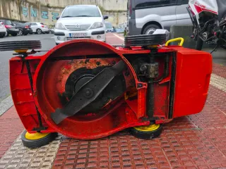 Cortacésped Outis Wolf PKTS 46