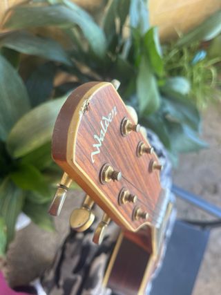 Guitarra Walden Natura G630CE