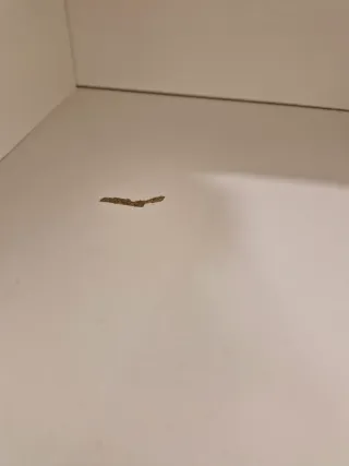 Cassetto letto IKEA Fredvang bianco