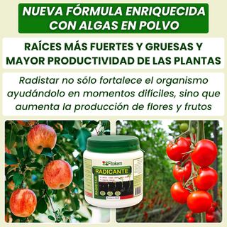 FITOKEM Radistar - Hormonas de Enraizamiento en Po