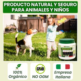 FITOKEM Radistar - Hormonas de Enraizamiento en Po