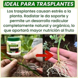 FITOKEM Radistar - Hormonas de Enraizamiento en Po