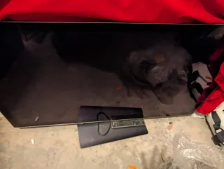 Televisión Panasonic TX-P50VT30