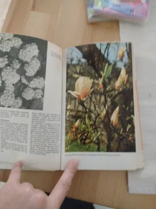 ABC de las plantas de jardín