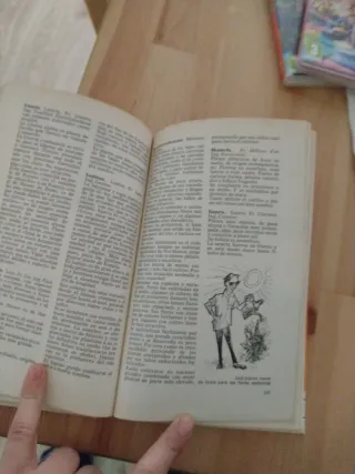 ABC de las plantas de jardín